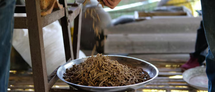 طحن وتجهيز (مدشش) حسب الطلب