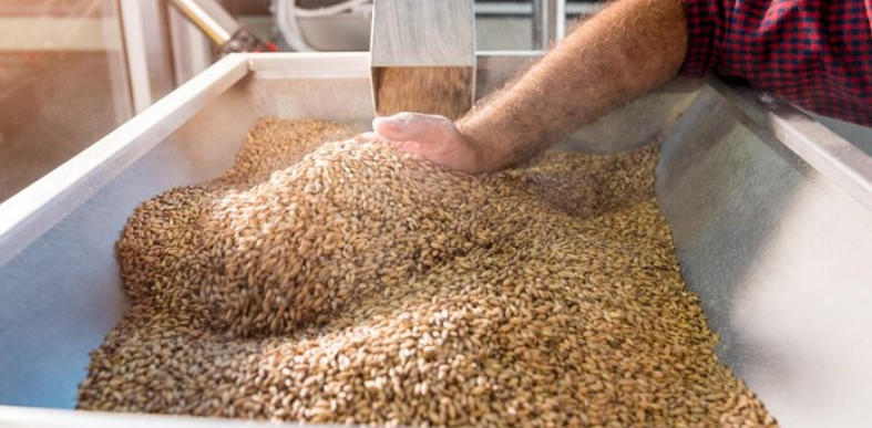 شركة المتوكل لصناعة الأعلاف